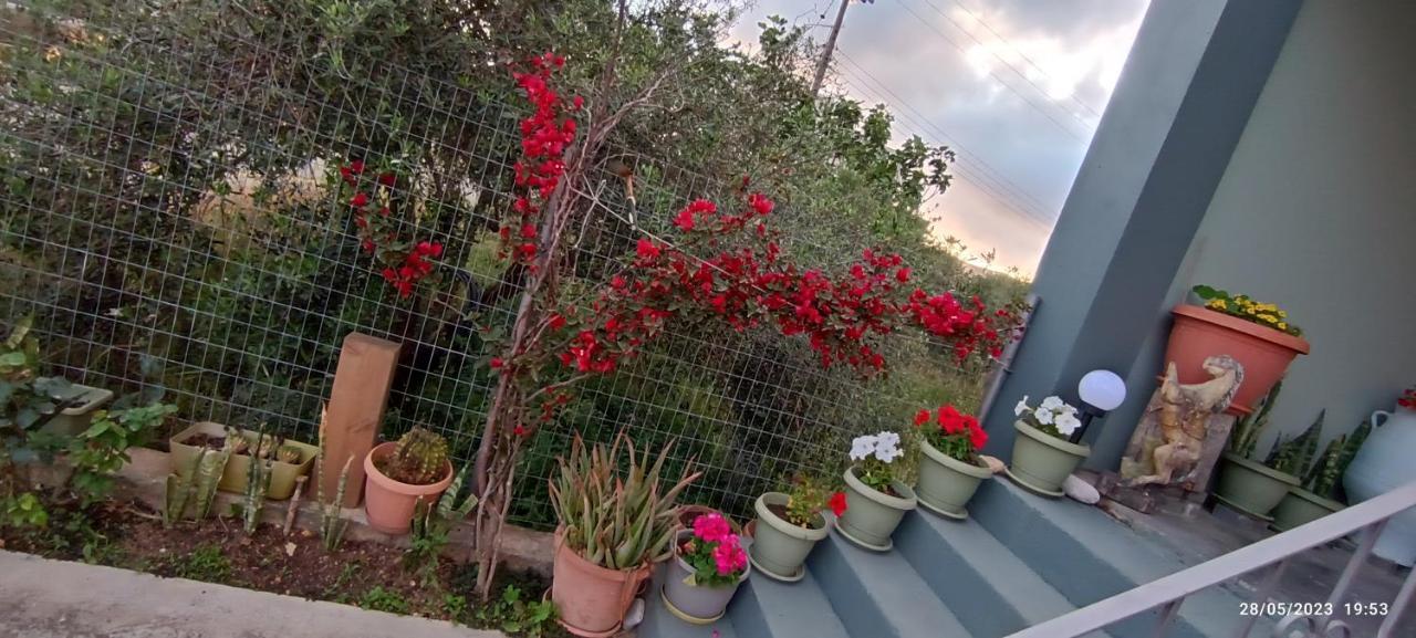 Vila Marilidiahouse Tzigkouna Exteriér fotografie